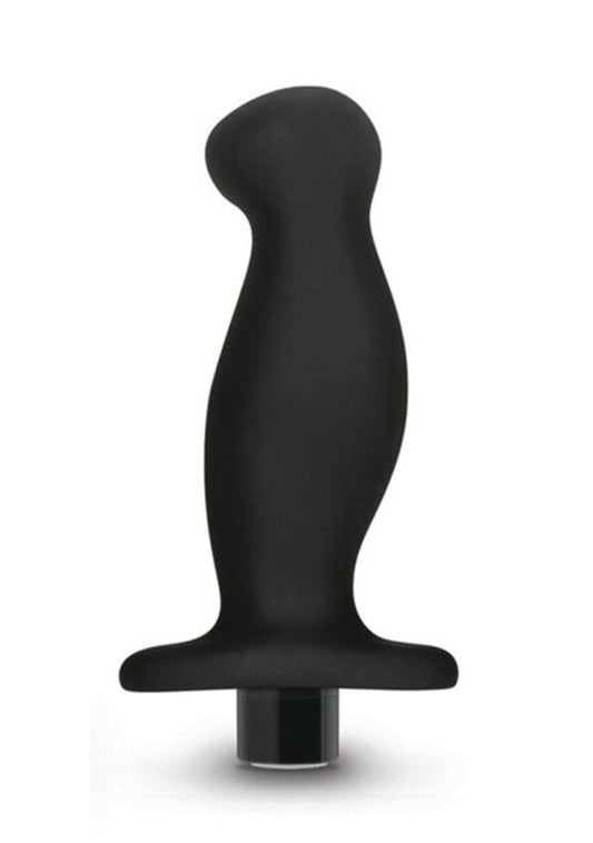 Vibrating Prostate Massager 02